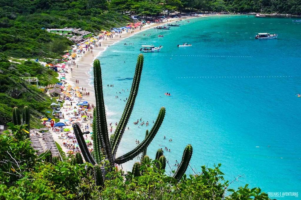 Palmares Cabo Frio